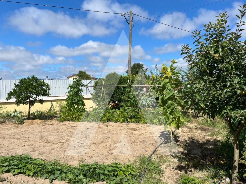 Moradia T3 para Venda em Santo Andre de Vagos Foto 71