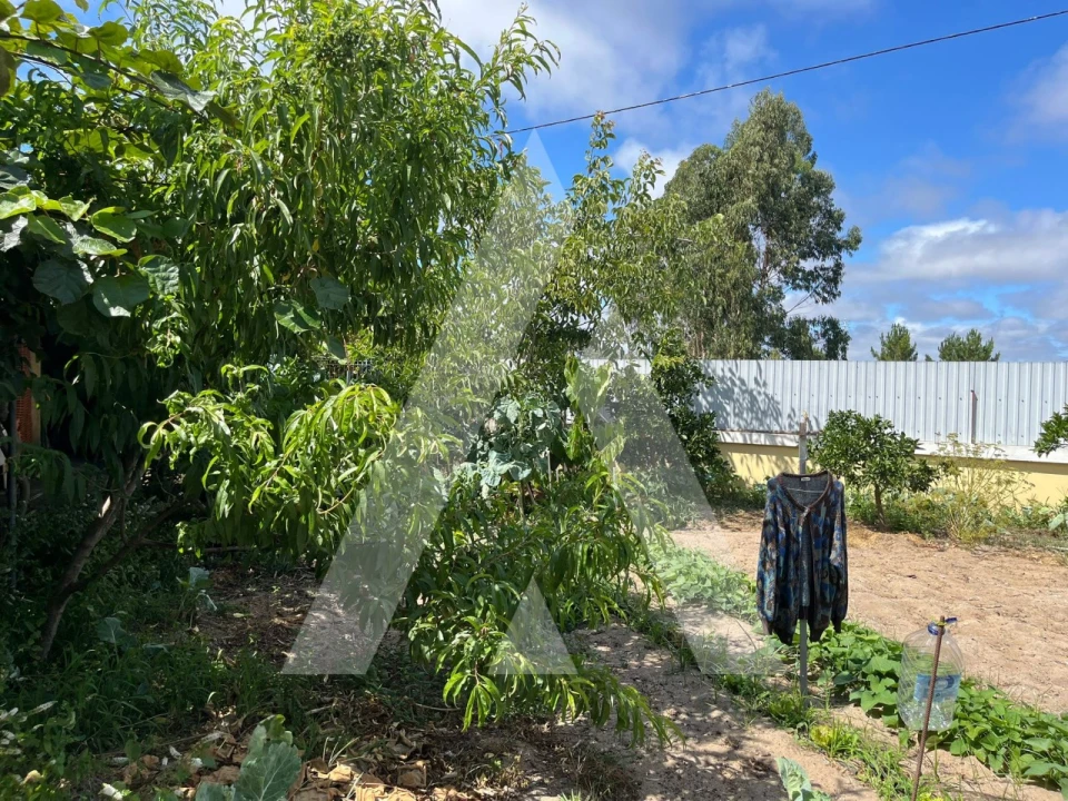 Moradia T3 para Venda em Santo Andre de Vagos Foto 72