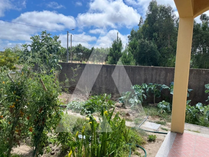 Moradia T3 para Venda em Santo Andre de Vagos Foto 66