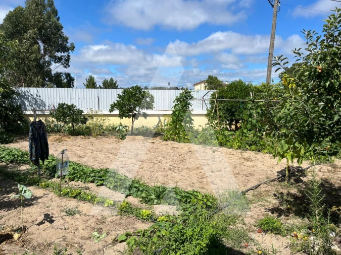 Moradia T3 para Venda em Santo Andre de Vagos Foto 74