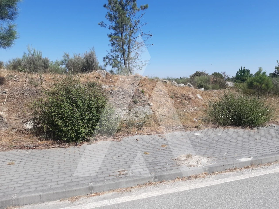 Terreno para Venda em Insua Foto 4