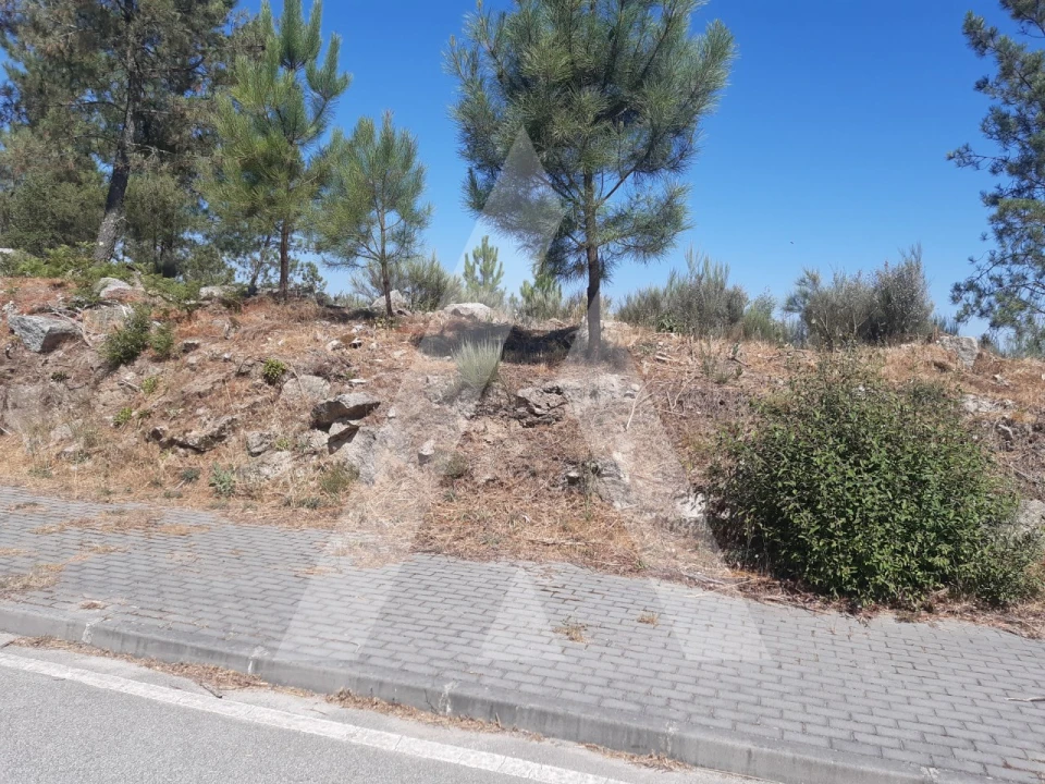 Terreno para Venda em Insua Foto 5