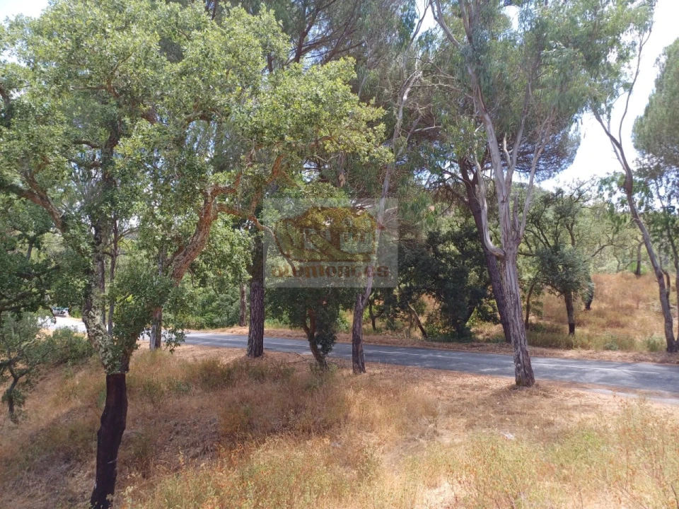 Terreno Agricola ou Rústico para Venda em Grândola e Santa Margarida da Serra Foto 3