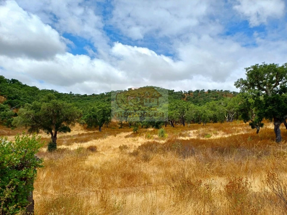 Terreno Agricola ou Rústico para Venda em Grândola e Santa Margarida da Serra Foto 7
