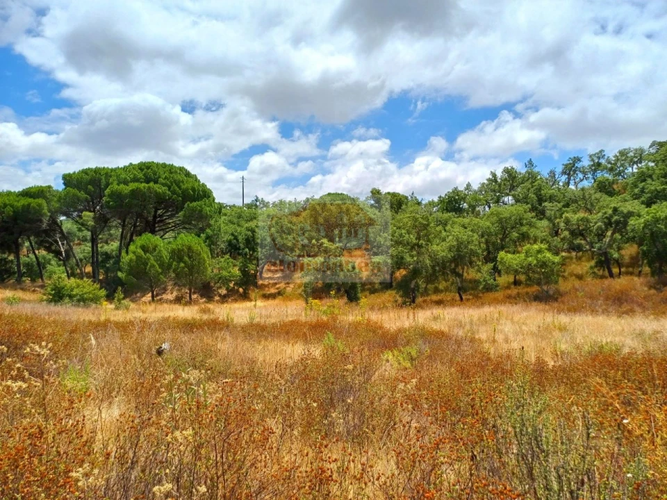 Terreno Agricola ou Rústico para Venda em Grândola e Santa Margarida da Serra Foto 1