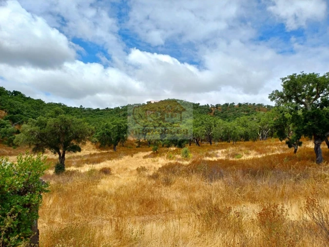 Terreno Agricola ou Rústico para Venda em Grândola e Santa Margarida da Serra Foto 7
