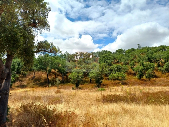Terreno Agricola ou Rústico para Venda em Grândola e Santa Margarida da Serra Foto 8