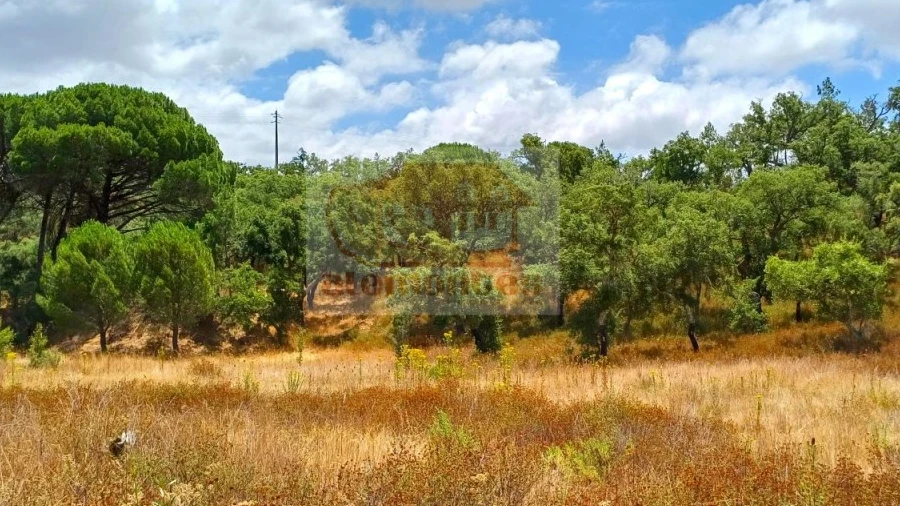 Terreno Agricola ou Rústico para Venda em Grândola e Santa Margarida da Serra