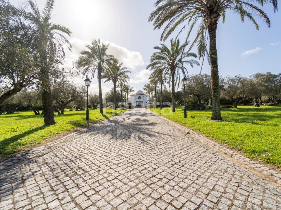 Quinta T5 para Venda em Bacelo e Senhora da Saúde Foto 3