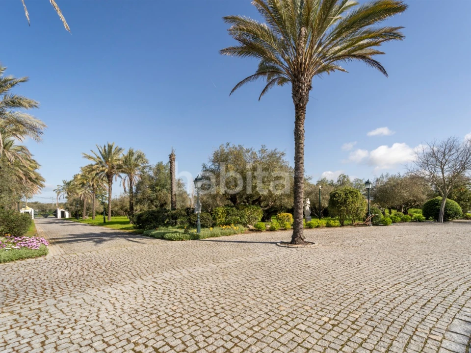 Quinta T5 para Venda em Bacelo e Senhora da Saúde Foto 16