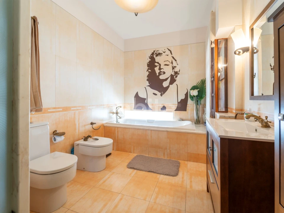 Quinta T5 para Venda em Bacelo e Senhora da Saúde Foto 38