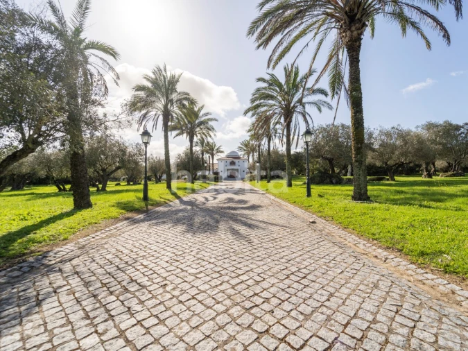 Quinta T5 para Venda em Bacelo e Senhora da Saúde Foto 3