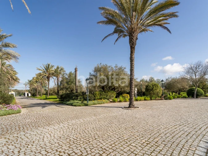 Quinta T5 para Venda em Bacelo e Senhora da Saúde Foto 16