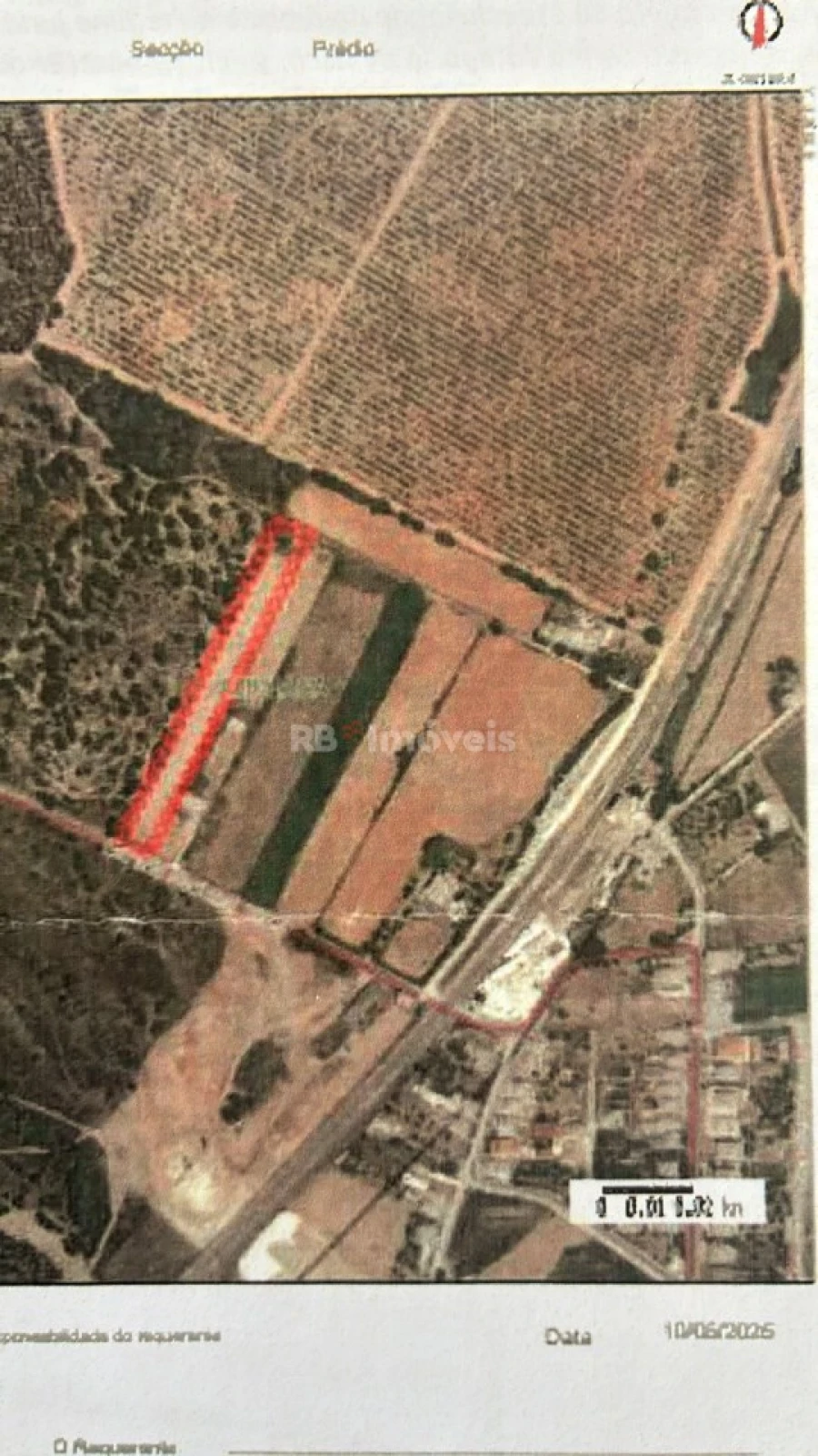 Terreno Agricola ou Rústico para Venda em Azinhaga Foto 4