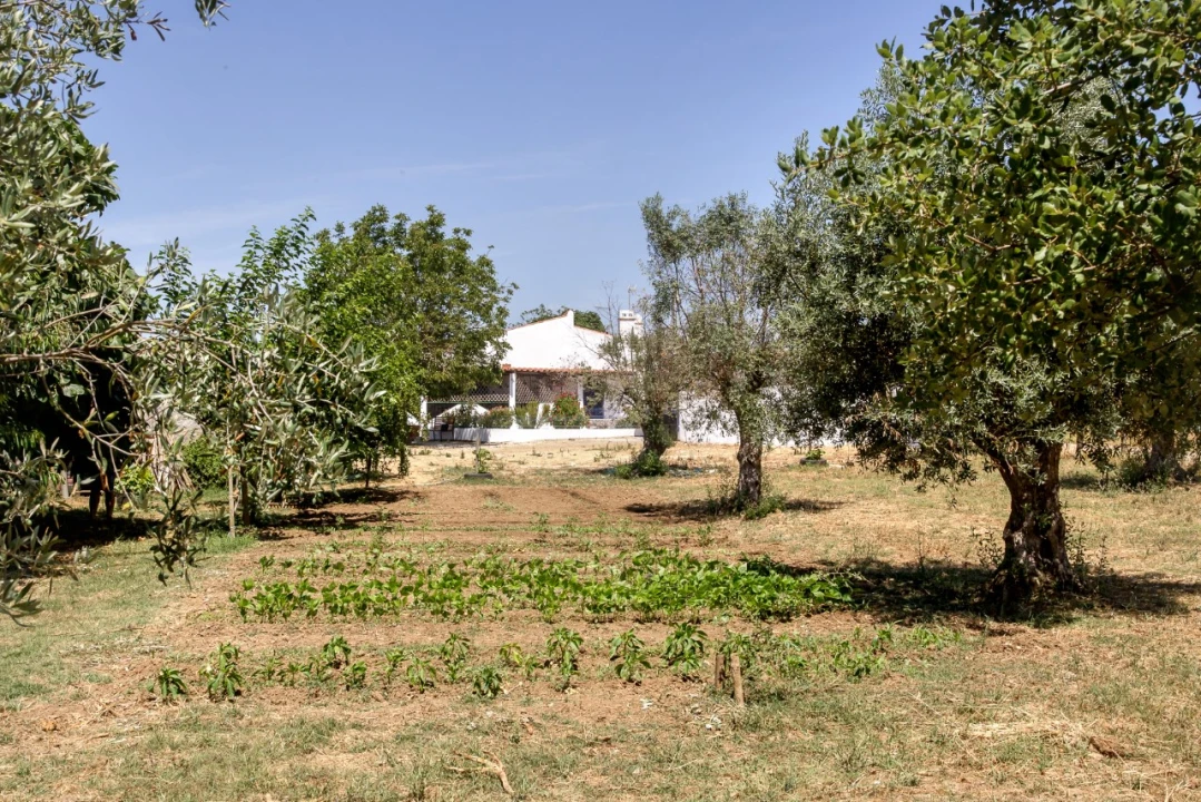 Quinta T2 para Venda em Ameixial (Santa Vitória e São Bento) Foto 15