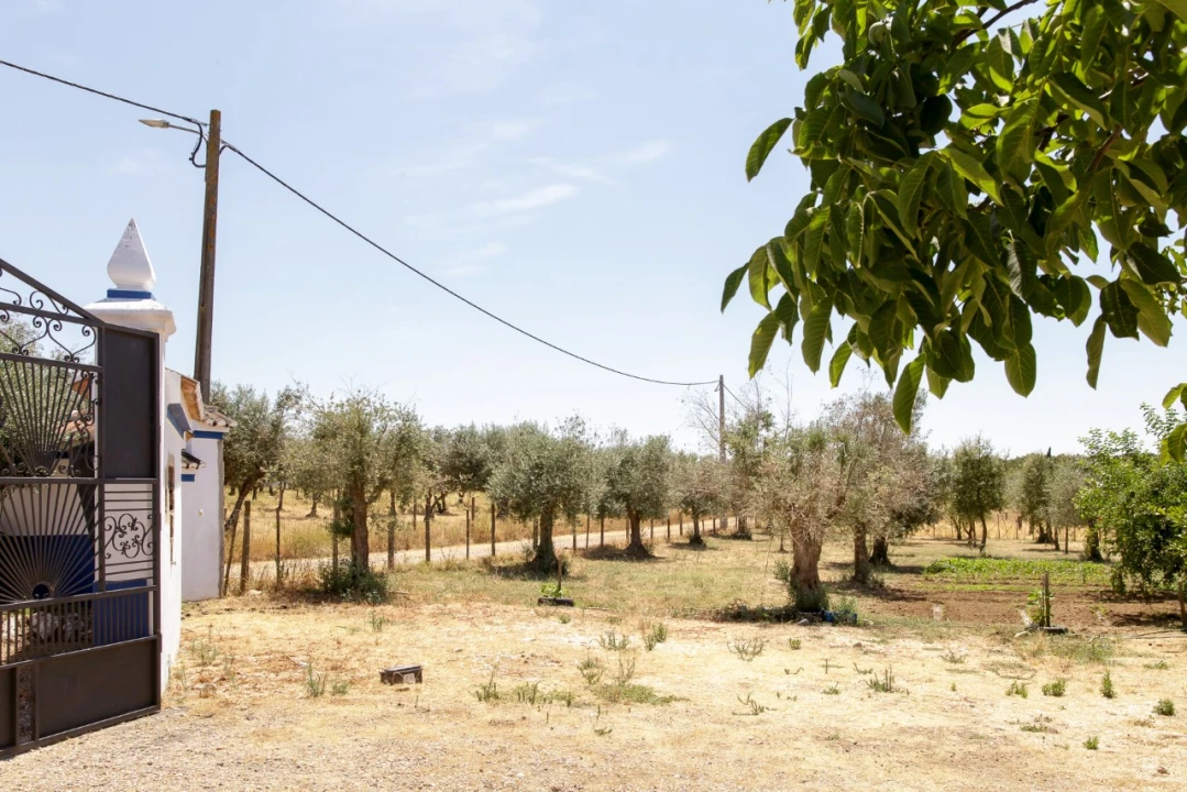 Quinta T2 para Venda em Ameixial (Santa Vitória e São Bento) Foto 10