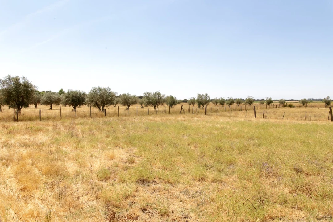 Quinta T2 para Venda em Ameixial (Santa Vitória e São Bento) Foto 21