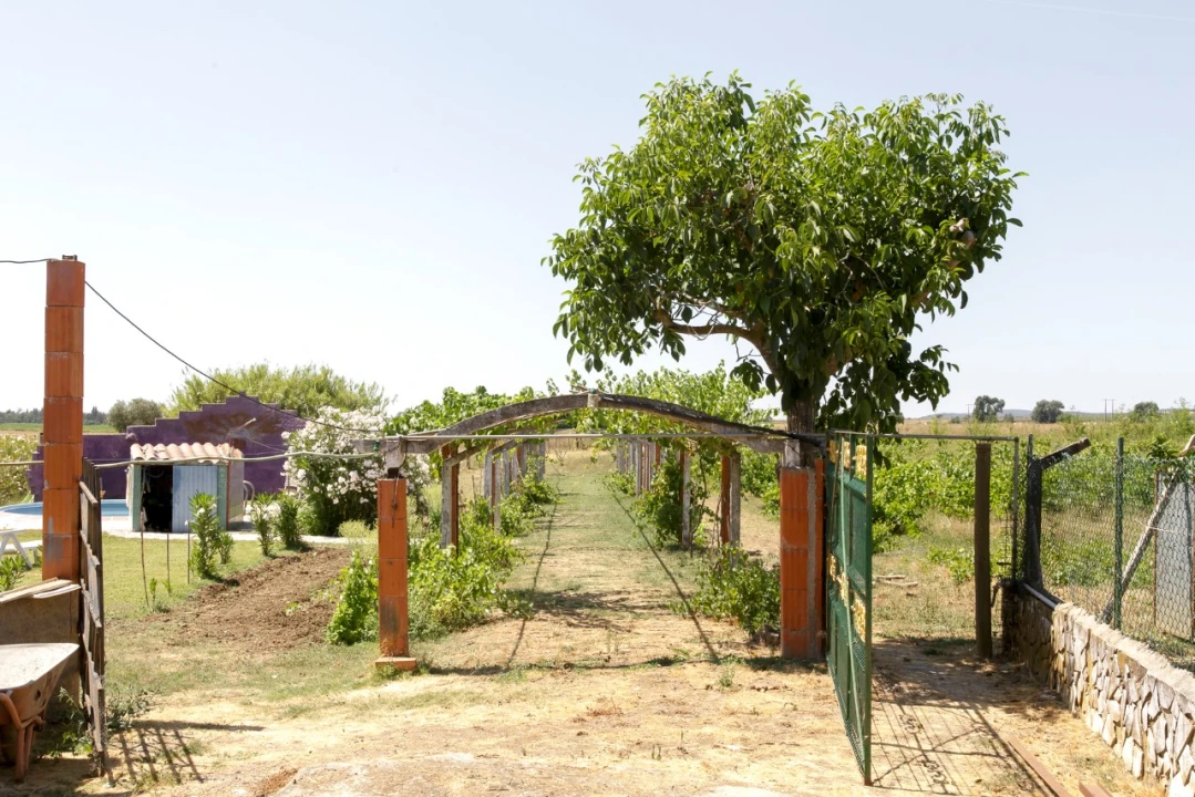 Quinta T2 para Venda em Ameixial (Santa Vitória e São Bento) Foto 26