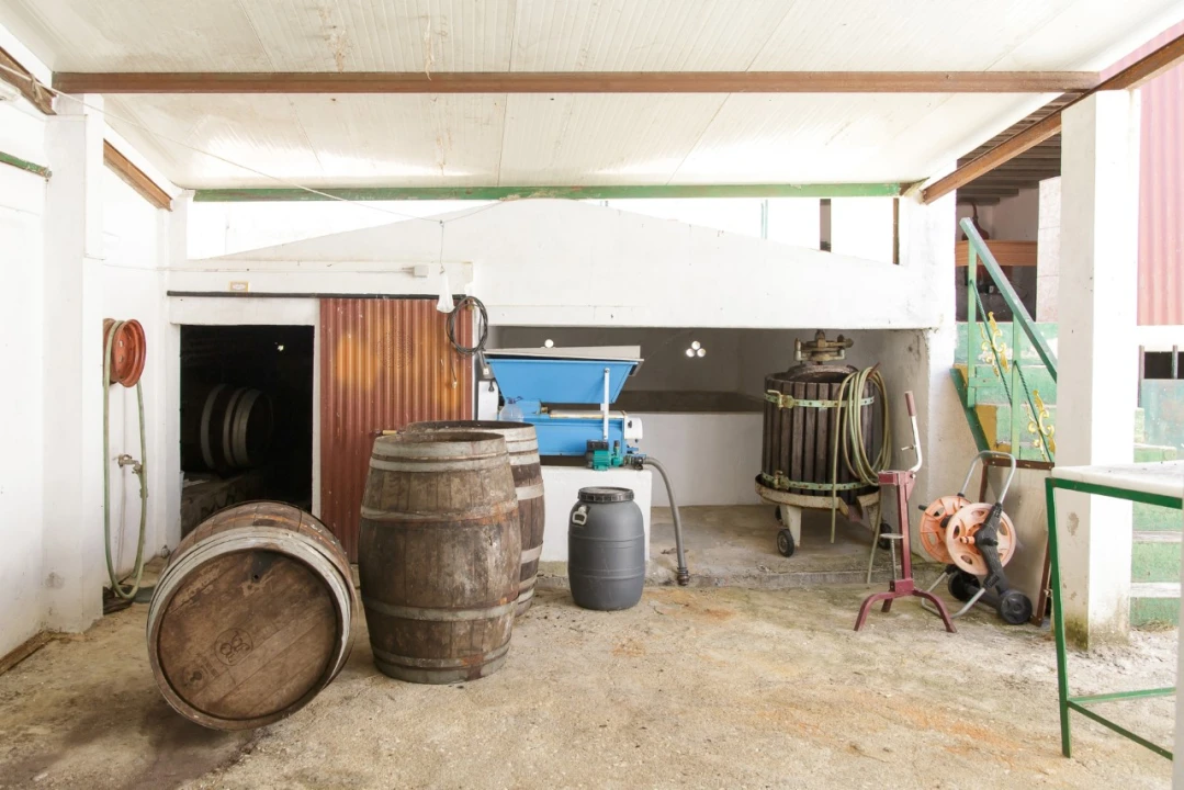 Quinta T2 para Venda em Ameixial (Santa Vitória e São Bento) Foto 35