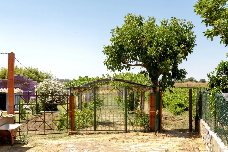 Quinta T2 para Venda em Ameixial (Santa Vitória e São Bento) Foto 12