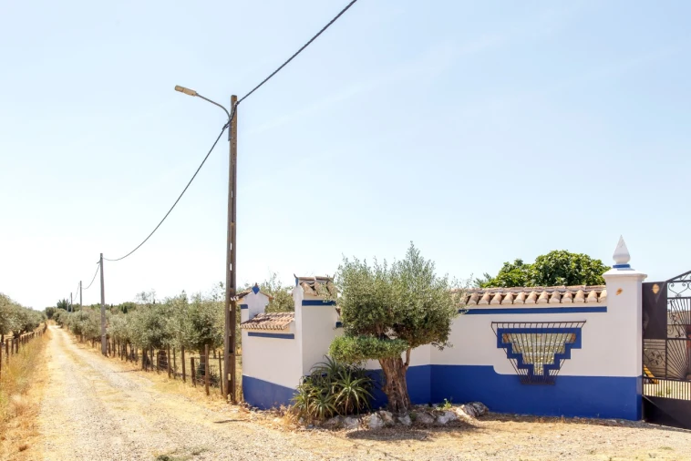 Quinta T2 para Venda em Ameixial (Santa Vitória e São Bento) Foto 60