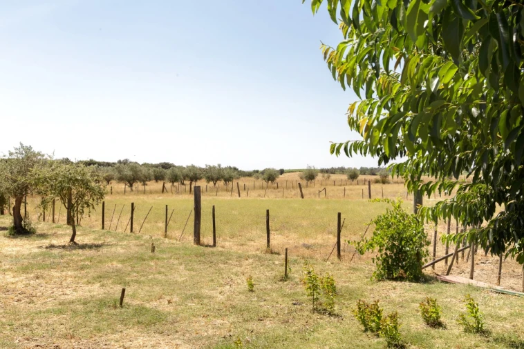 Quinta T2 para Venda em Ameixial (Santa Vitória e São Bento) Foto 19
