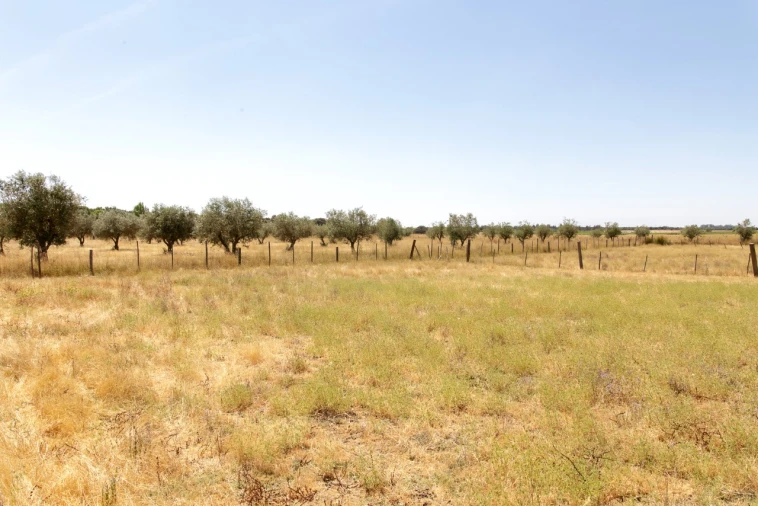 Quinta T2 para Venda em Ameixial (Santa Vitória e São Bento) Foto 21