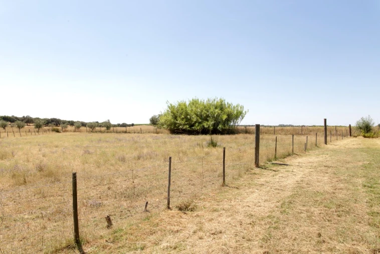 Quinta T2 para Venda em Ameixial (Santa Vitória e São Bento) Foto 23