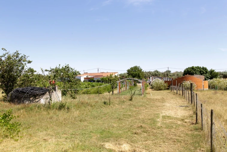 Quinta T2 para Venda em Ameixial (Santa Vitória e São Bento) Foto 27