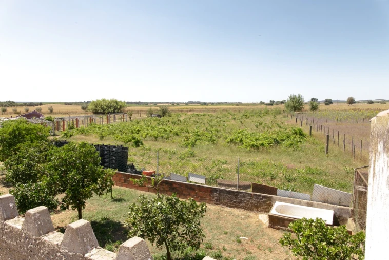 Quinta T2 para Venda em Ameixial (Santa Vitória e São Bento) Foto 28