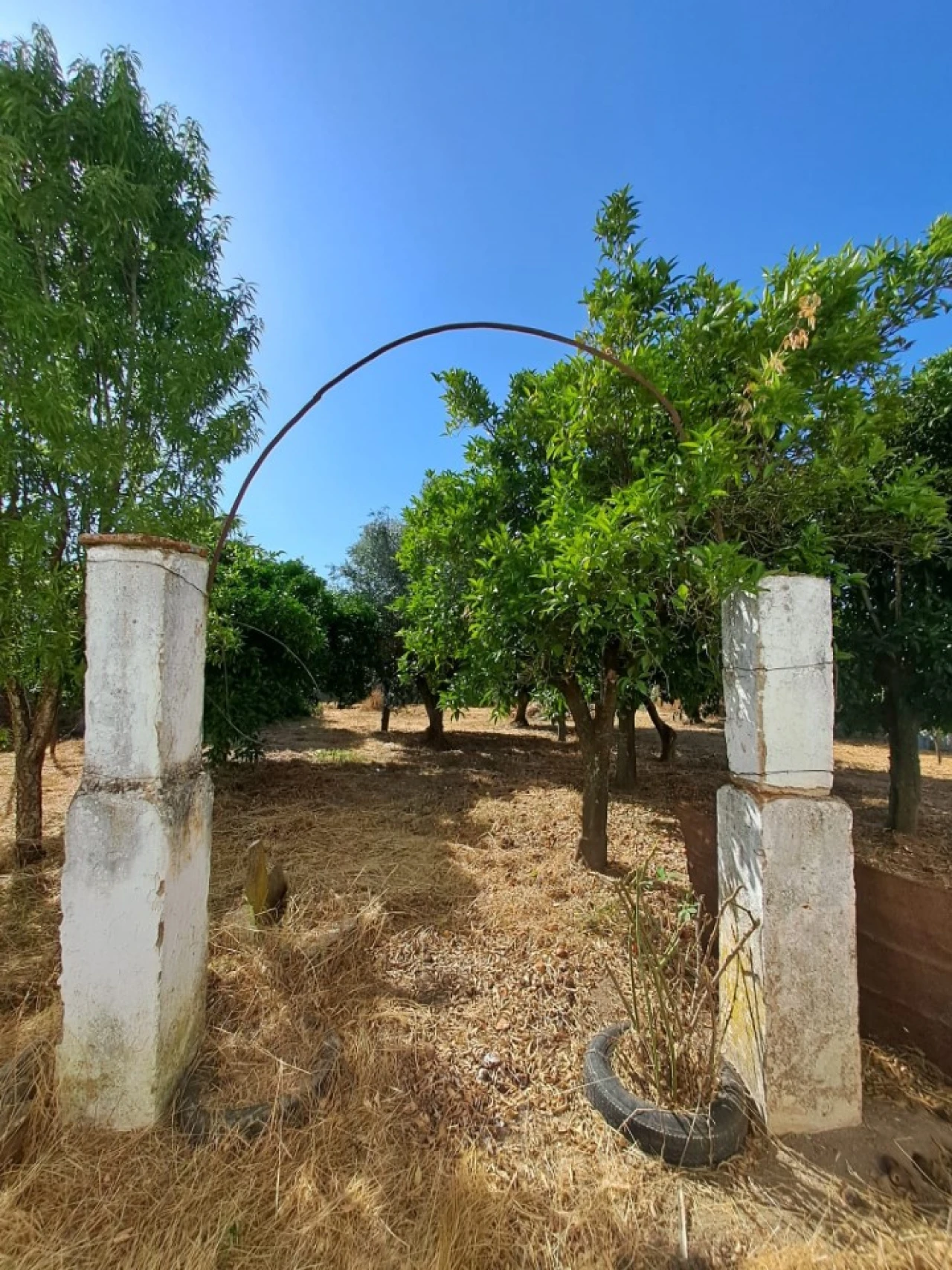 Prédio para Venda em Veiros Foto 2