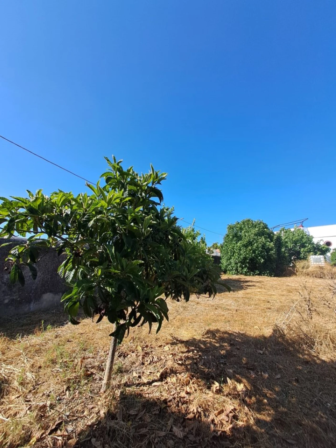 Prédio para Venda em Veiros Foto 6