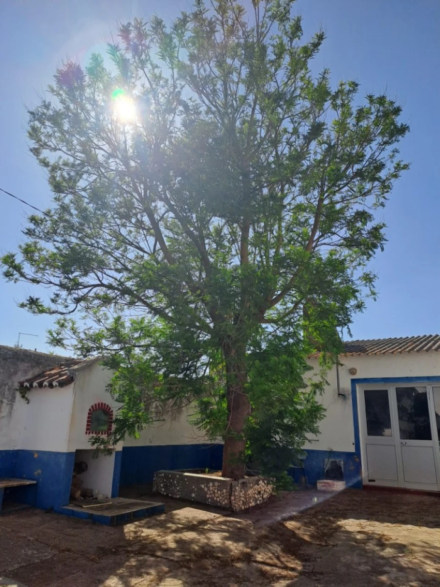 Prédio para Venda em Veiros Foto 9