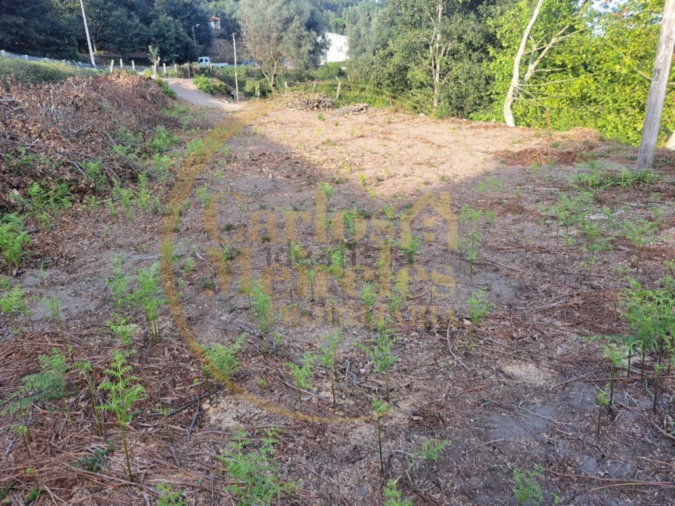 Terreno para Venda em Valbom (São Pedro), Passô e Valbom (São Martinho) Foto 3