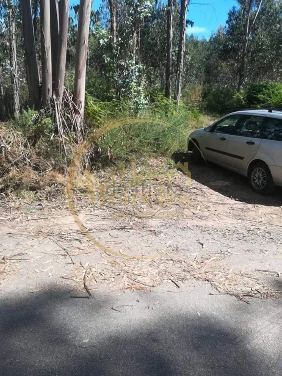 Terreno para Venda em Oleiros Foto 5
