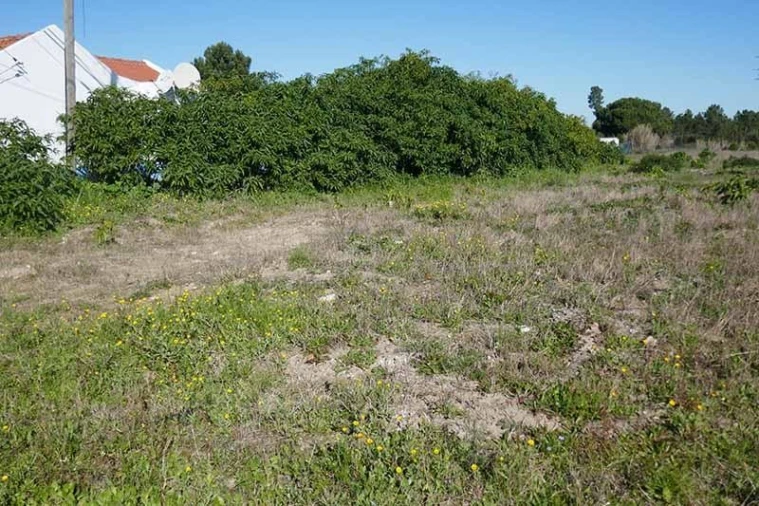 Terreno para Venda em Salvaterra de Magos e Foros de Salvaterra Foto 2