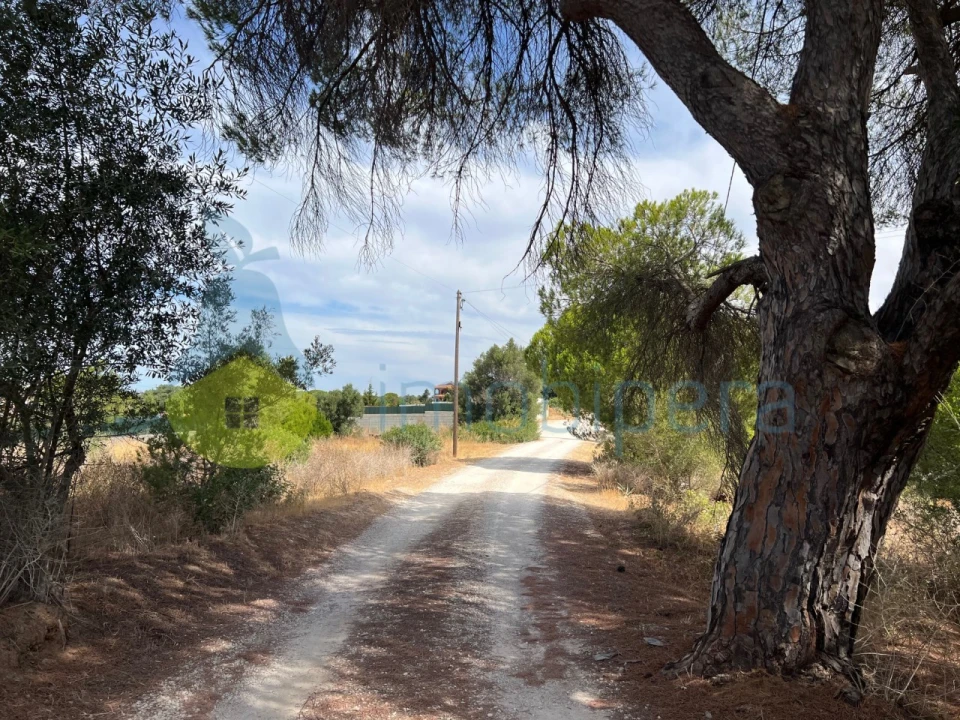 Terreno Agricola ou Rústico para Venda em Albufeira e Olhos de Água Foto 5