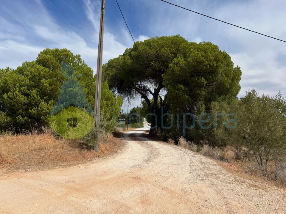 Terreno Agricola ou Rústico para Venda em Albufeira e Olhos de Água Foto 6