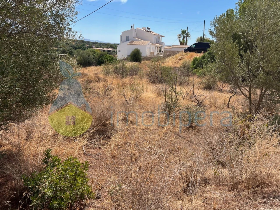 Terreno Agricola ou Rústico para Venda em Albufeira e Olhos de Água Foto 8