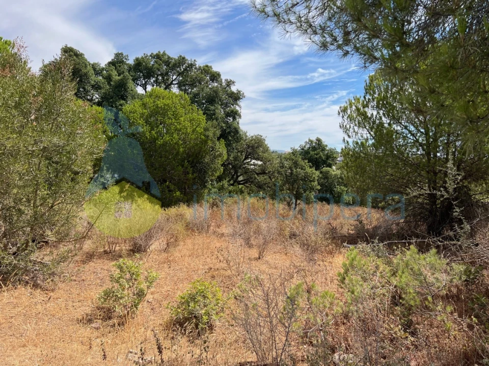 Terreno Agricola ou Rústico para Venda em Albufeira e Olhos de Água Foto 10