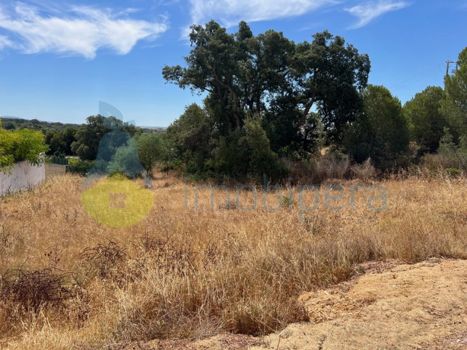 Terreno Agricola ou Rústico para Venda em Albufeira e Olhos de Água Foto 13