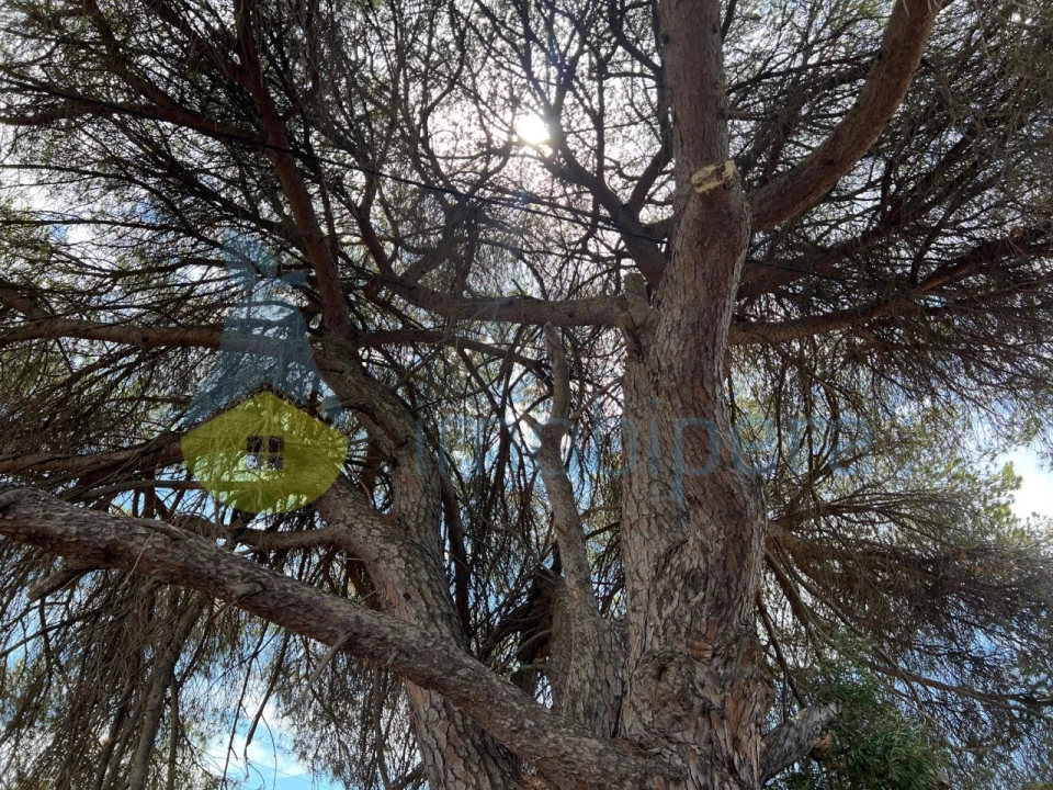 Terreno Agricola ou Rústico para Venda em Albufeira e Olhos de Água Foto 18