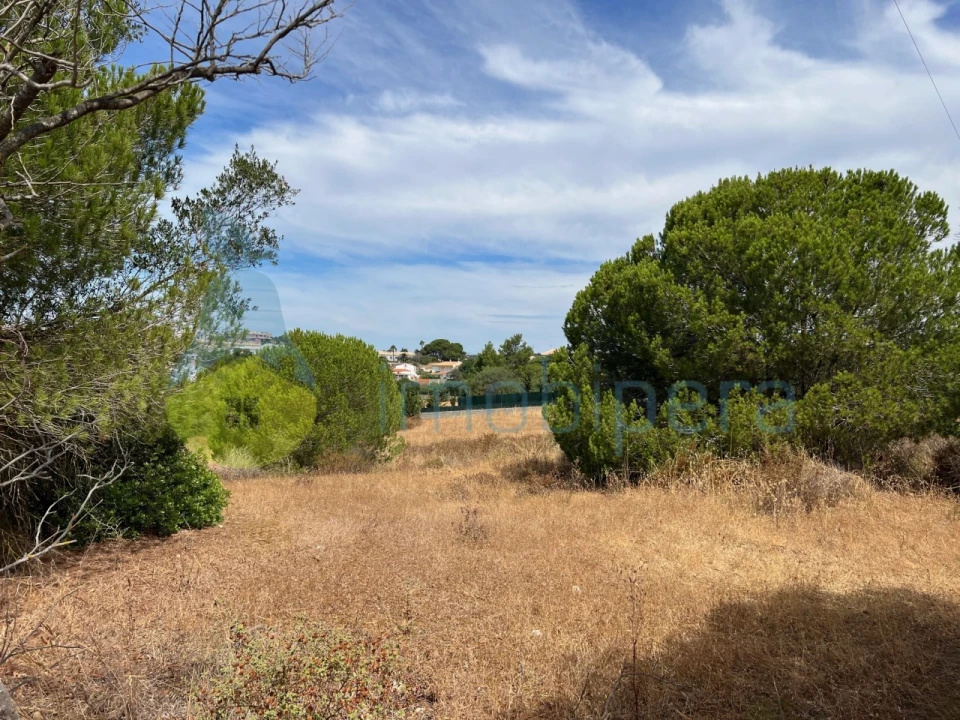 Terreno Agricola ou Rústico para Venda em Albufeira e Olhos de Água Foto 20