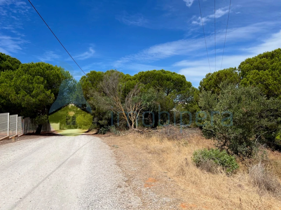 Terreno Agricola ou Rústico para Venda em Albufeira e Olhos de Água Foto 21
