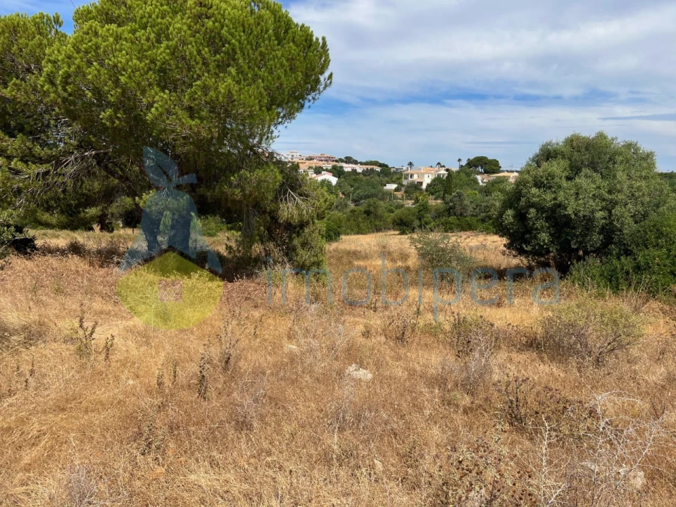 Terreno Agricola ou Rústico para Venda em Albufeira e Olhos de Água Foto 3