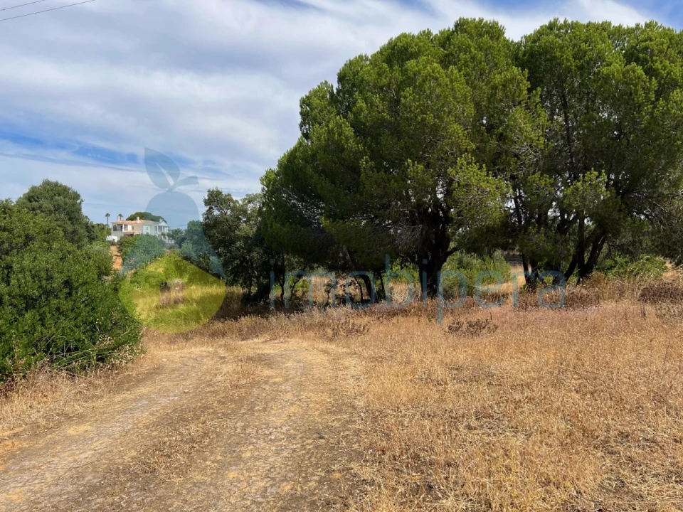 Terreno Agricola ou Rústico para Venda em Albufeira e Olhos de Água Foto 35