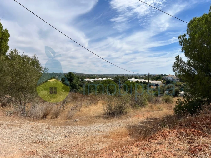 Terreno Agricola ou Rústico para Venda em Albufeira e Olhos de Água Foto 7