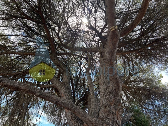 Terreno Agricola ou Rústico para Venda em Albufeira e Olhos de Água Foto 18