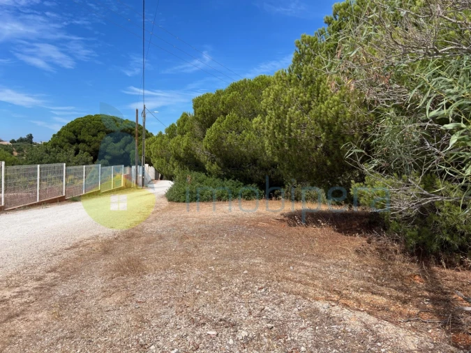 Terreno Agricola ou Rústico para Venda em Albufeira e Olhos de Água Foto 22