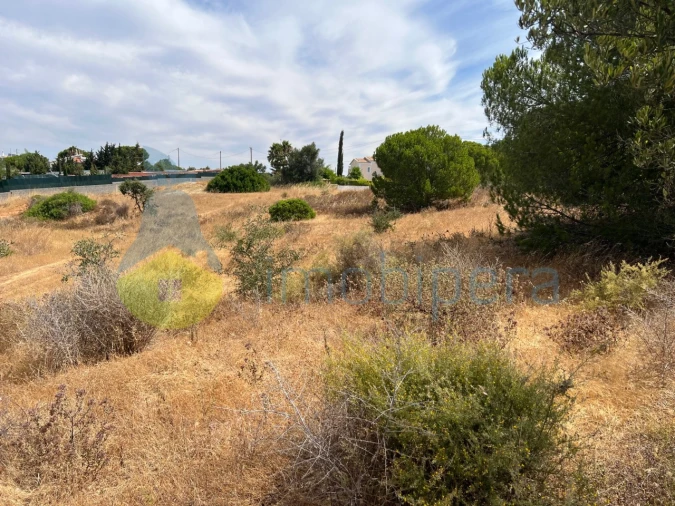 Terreno Agricola ou Rústico para Venda em Albufeira e Olhos de Água Foto 2